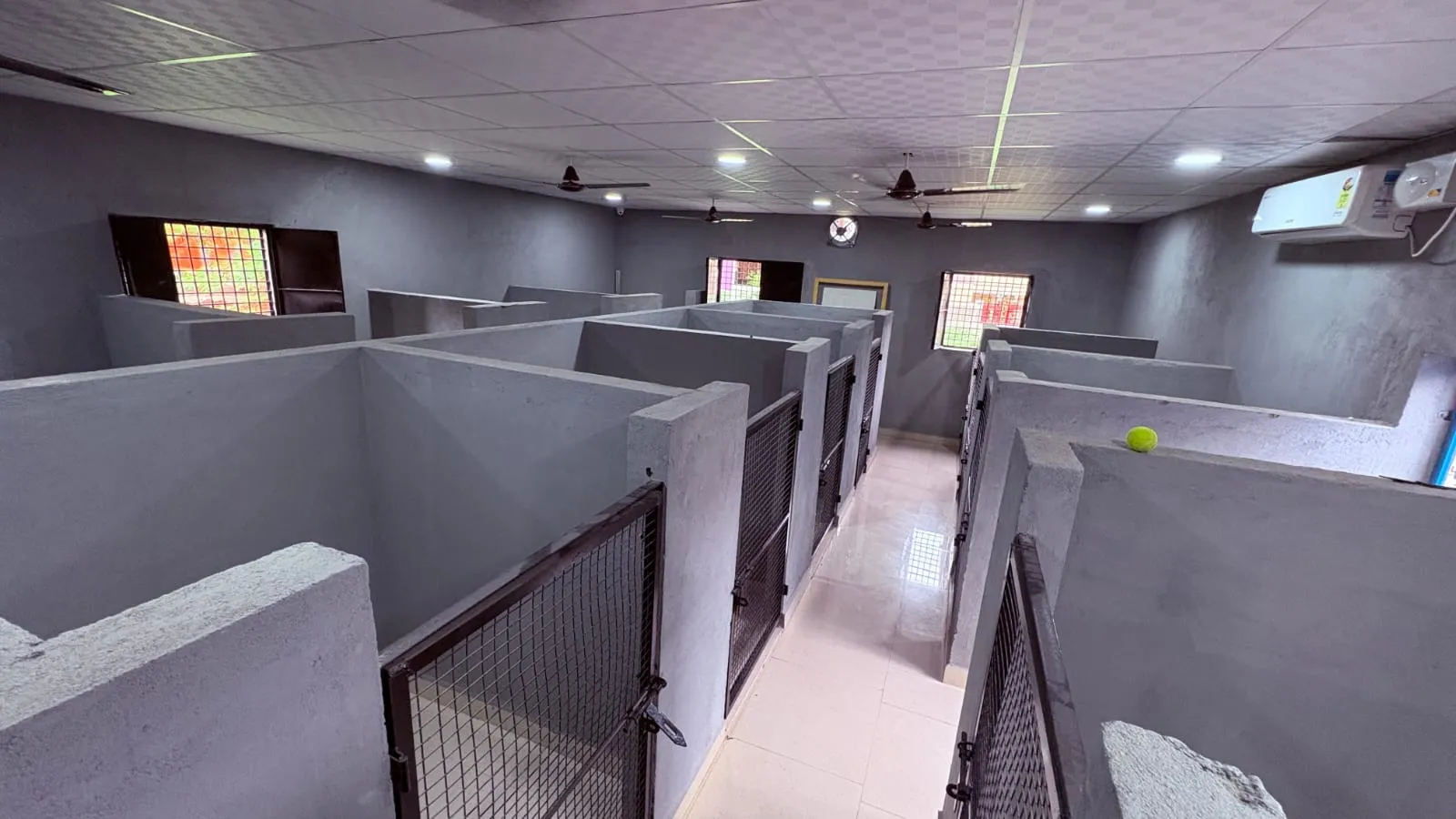 Pet Boarding Kennel Tellapur